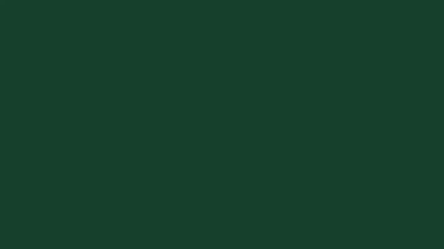 Mélaminé Vert Sapin U606 ST9 19mm