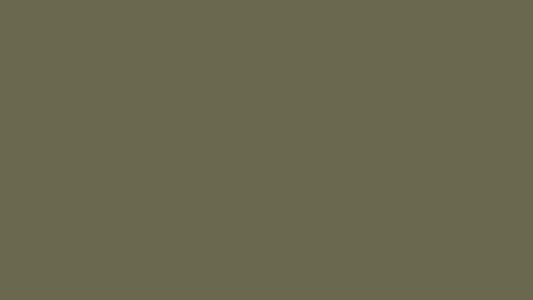 Mélaminé Vert Agave U645 ST9 19mm
